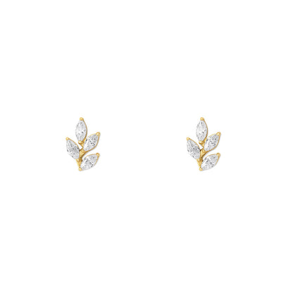NAMI. STUDS