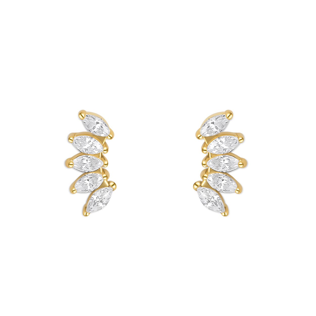 FOLIA. STUDS