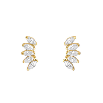 FOLIA. STUDS