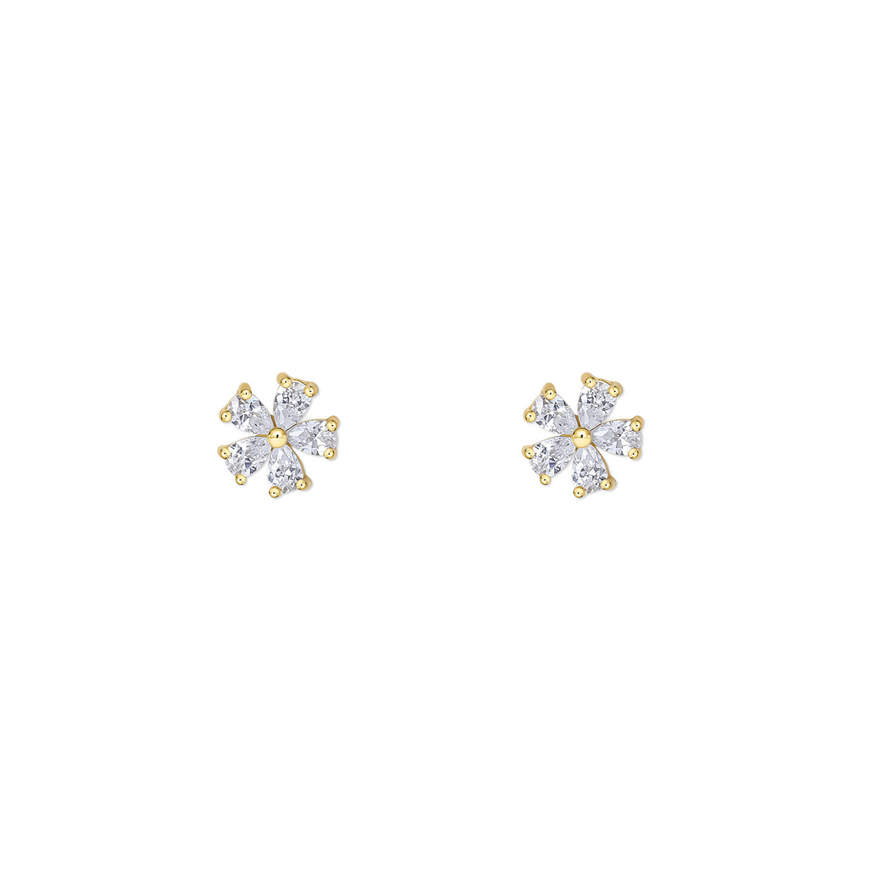FLORA. STUDS